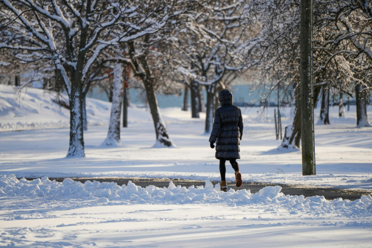 Warum fettbasierte Cremes im Winter besser für die Haut sind